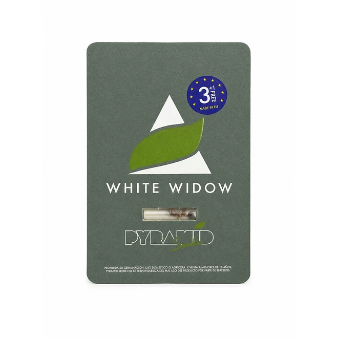 Pyramid Seeds White Widow Fem 1