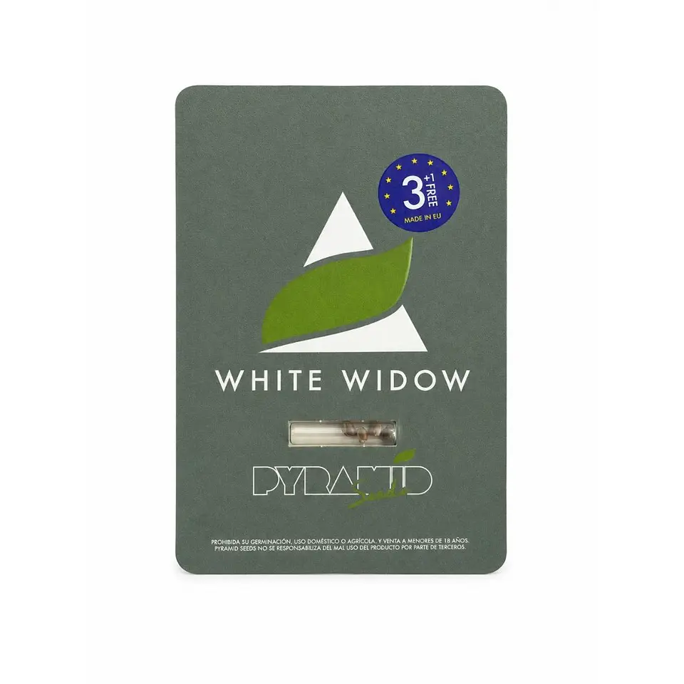Pyramid Seeds White Widow Fem 1