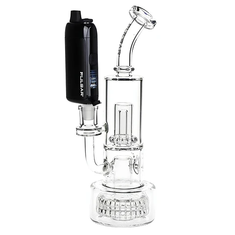 Pulsar Chorus Adaptador para Bongs