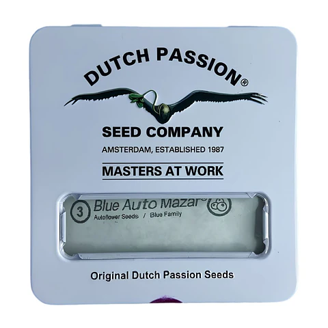 Dutch Passion Mazar Blue Auto 3+1