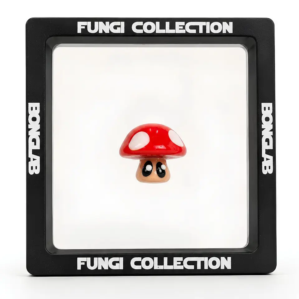 Bonglab Caps Fungi Collection 2