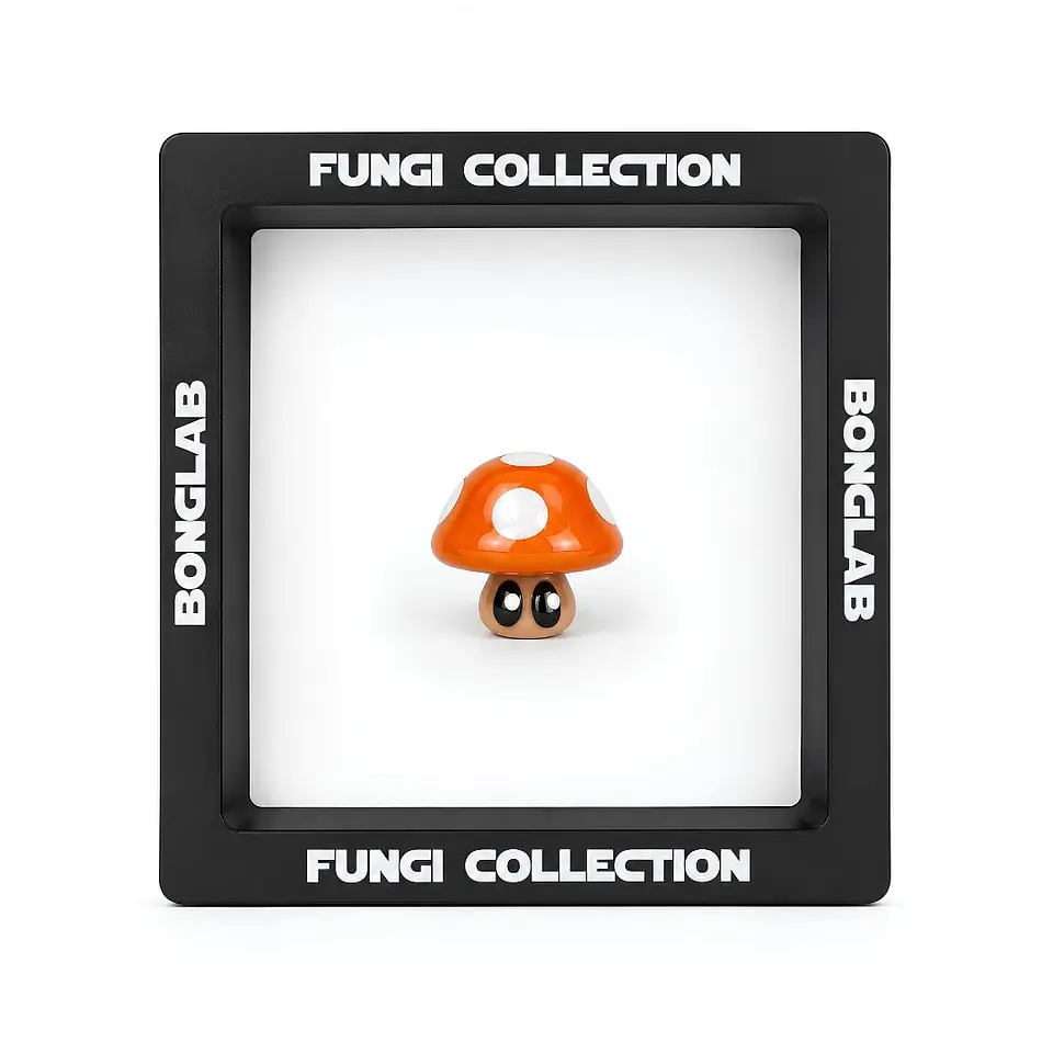 Bonglab Caps Fungi Collection 8