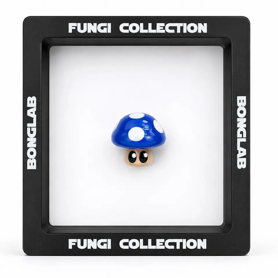 Bonglab Caps Fungi Collection 10