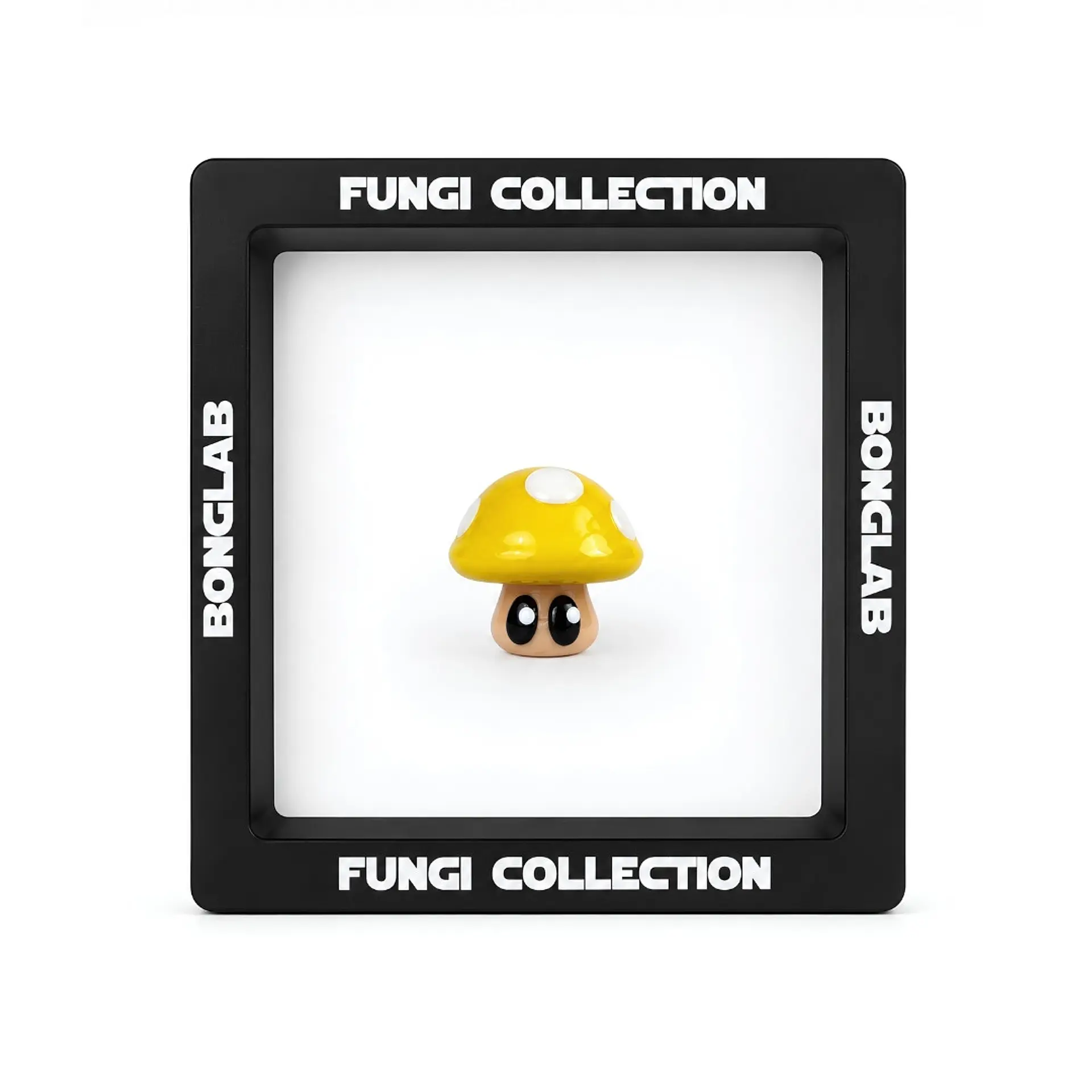 Bonglab Caps Fungi Collection 6