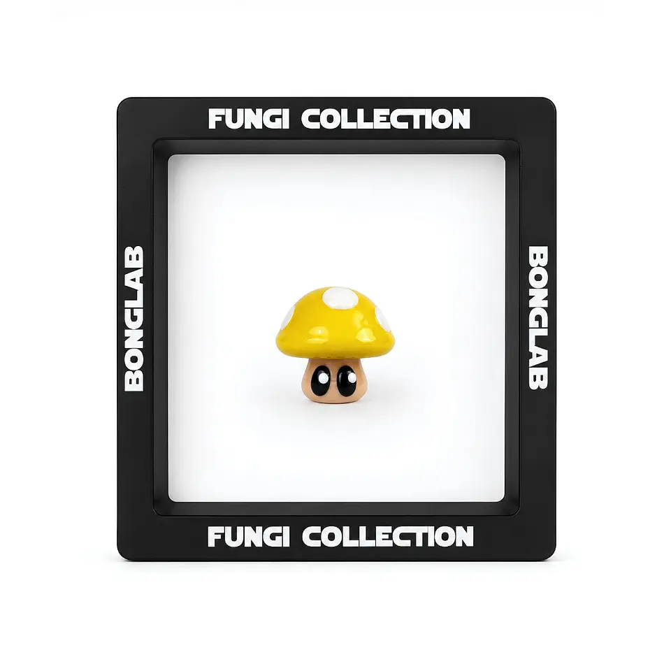 Bonglab Caps Fungi Collection 6