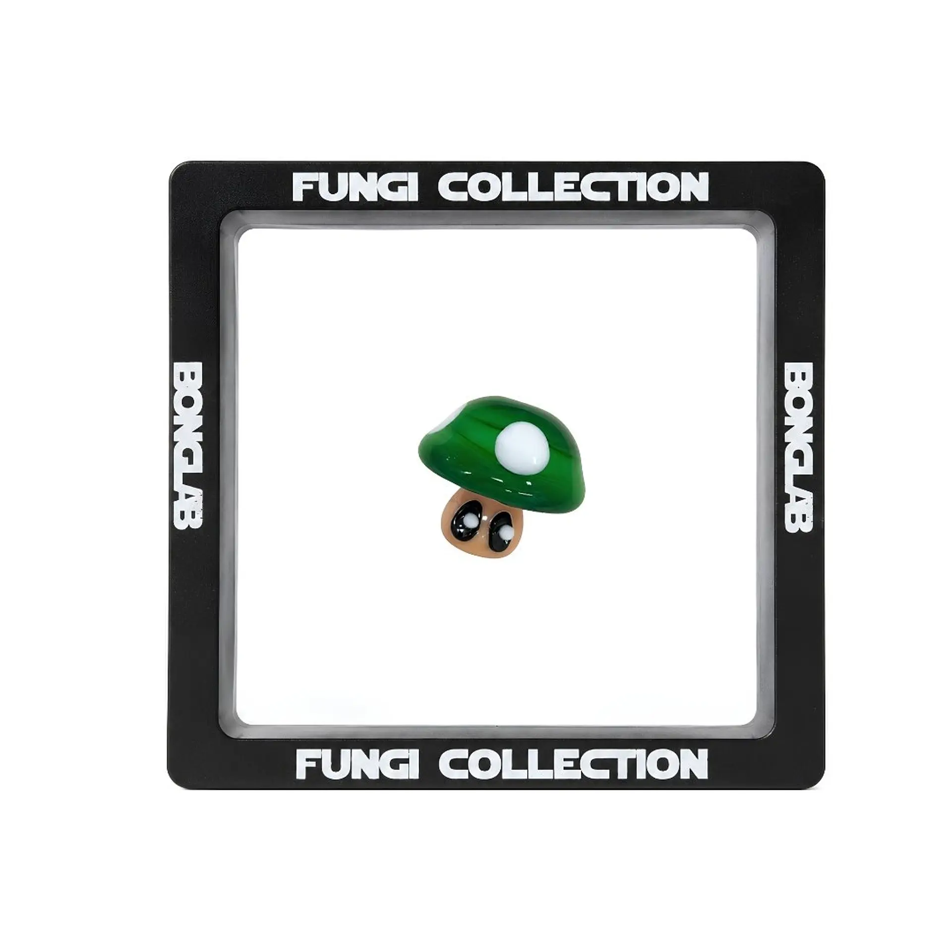 Bonglab Caps Fungi Collection 14