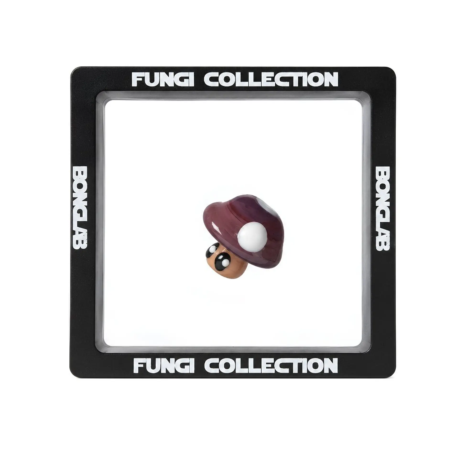 Bonglab Caps Fungi Collection 12