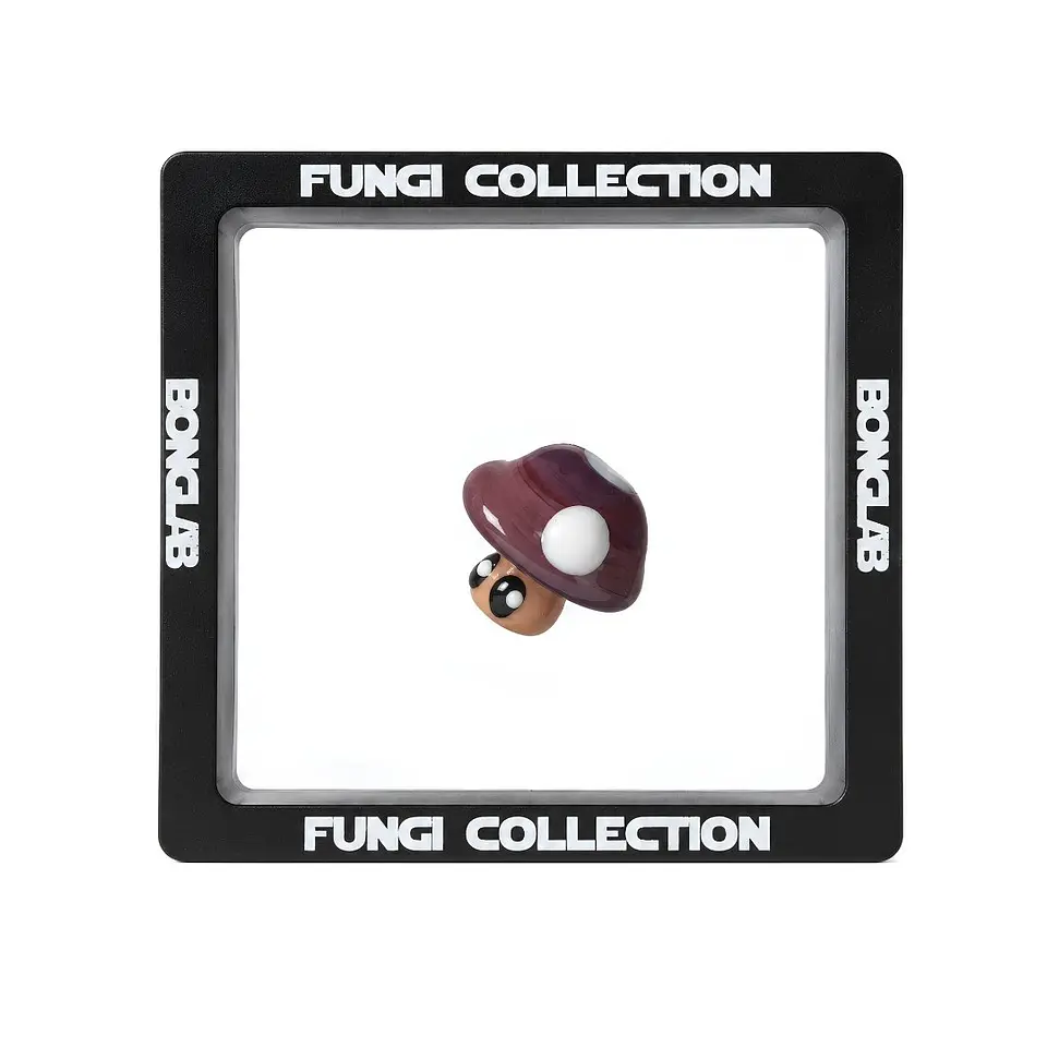 Bonglab Caps Fungi Collection 12