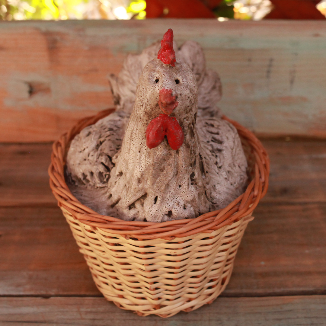 White Hen in Wicker Basket