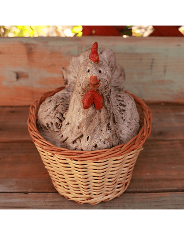 White Hen in Wicker Basket