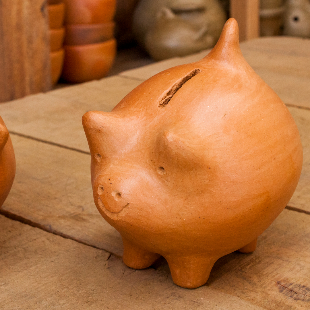 Pañul Ceramic Piggy Bank
