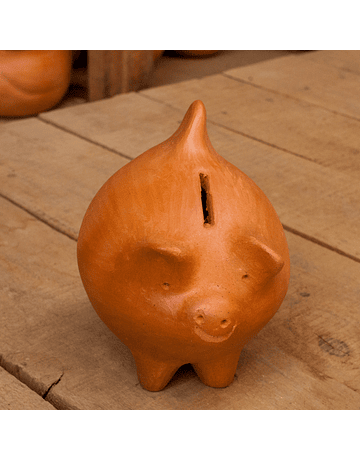 Pañul Ceramic Piggy Bank