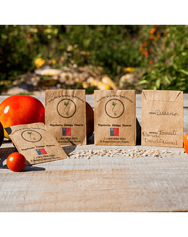 Traditional Pink Tomato Seed Packet