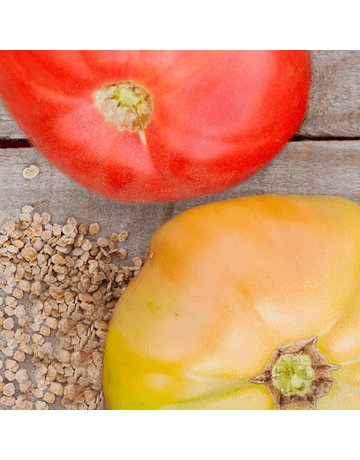 Traditional Pink Tomato Seed Packet