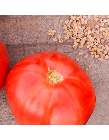 Busta di Semi di Pomodoro Rosa Liscio