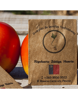 Yuco Tomato Seed Packet