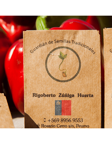 Cuatro Cantos Bell Pepper Seed Packet