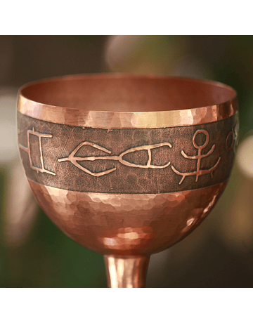 Hammered Copper Insect Cup