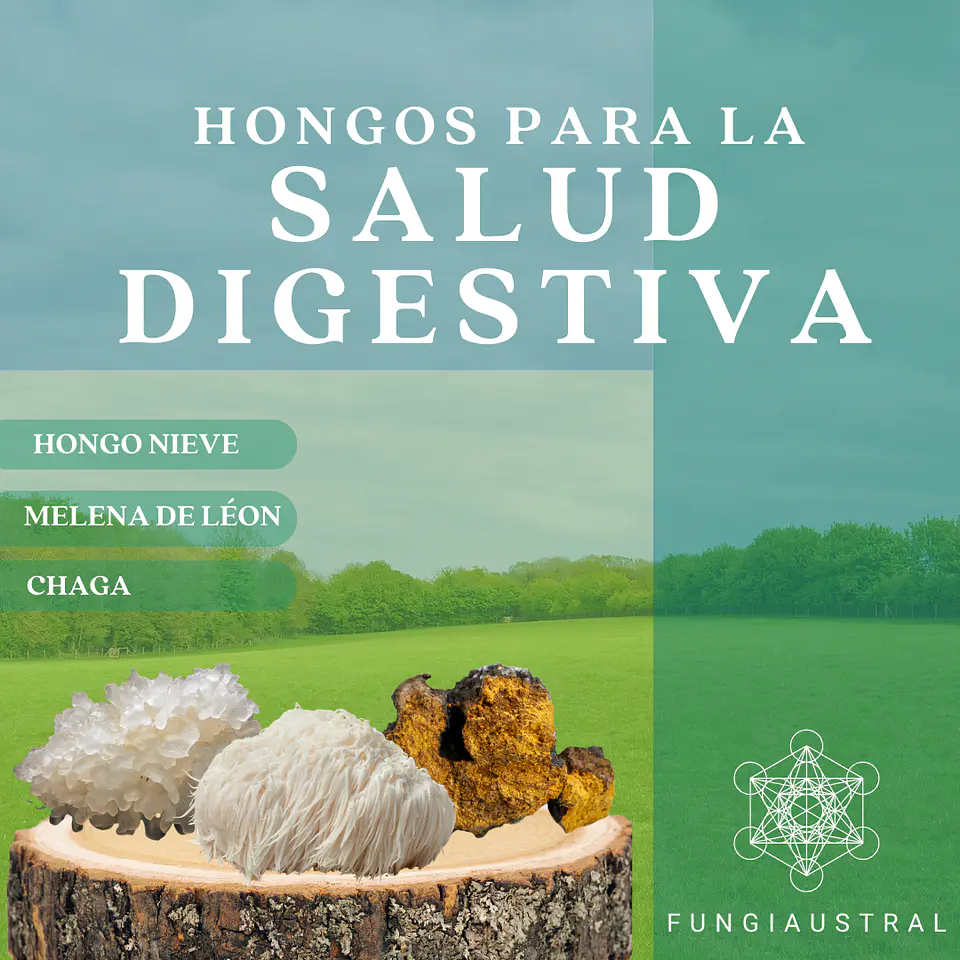 Pack digestivo Gotas 3:1 3