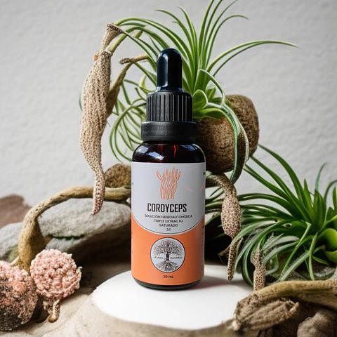 Cordyceps
