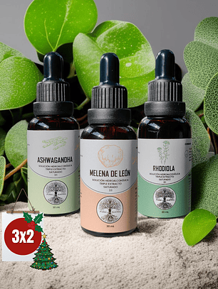 Pack Focus Gotas 3:1