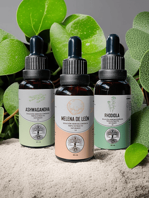 Pack Focus Gotas 3:1