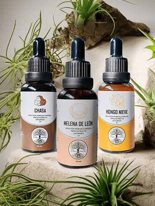 Pack digestivo Gotas 3:1