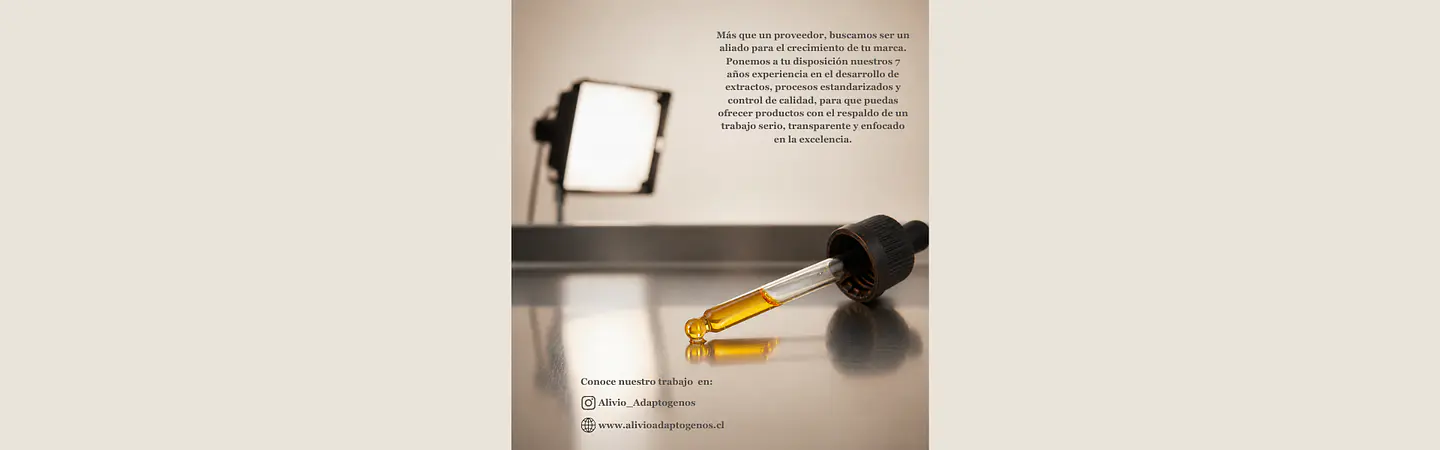 Título del Slide