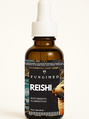 Reishi - Ganoderma lucidum