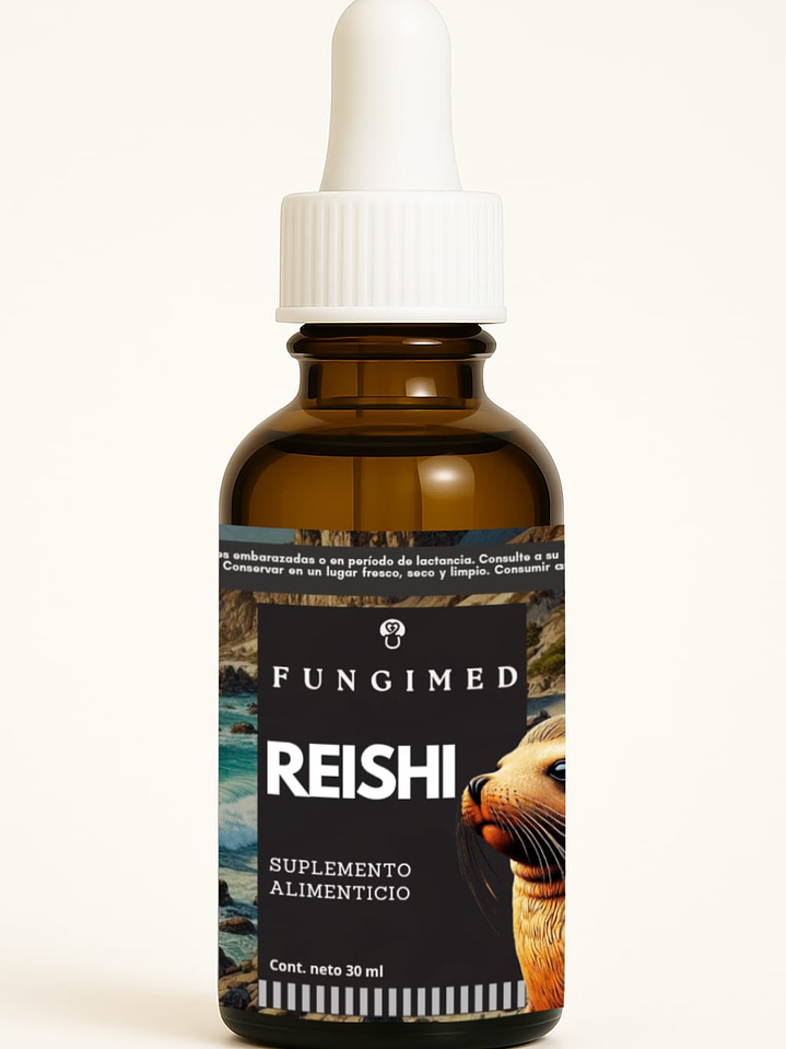 Reishi - Ganoderma lucidum 1