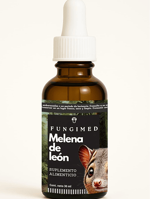 Melena de león - Hericium erinaceus