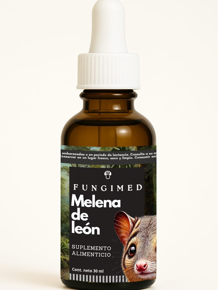 Melena de león - Hericium erinaceus 1