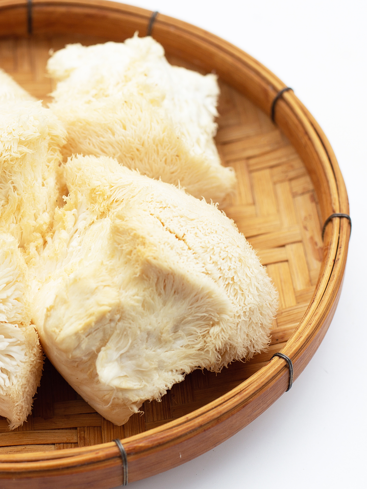 Melena de león - Hericium erinaceus 3