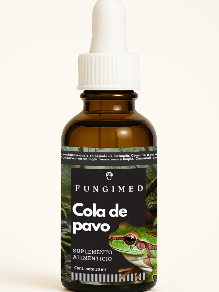 Cola de pavo - Trametes versicolor 1