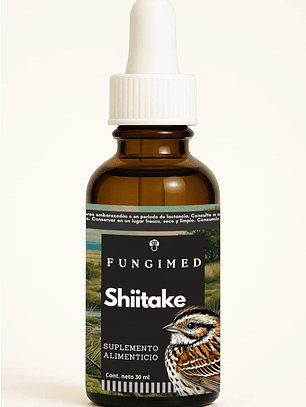 Shiitake - Lentinula edodes