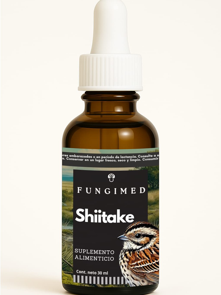 Shiitake - Lentinula edodes 1