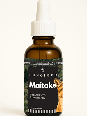 Maitake - Grifola frondosa