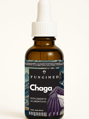 Chaga - Inonotus obliquus