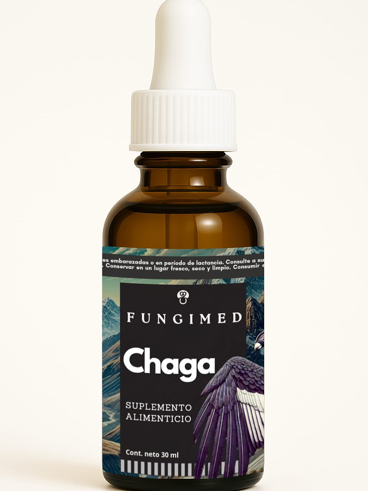 Chaga - Inonotus obliquus 1