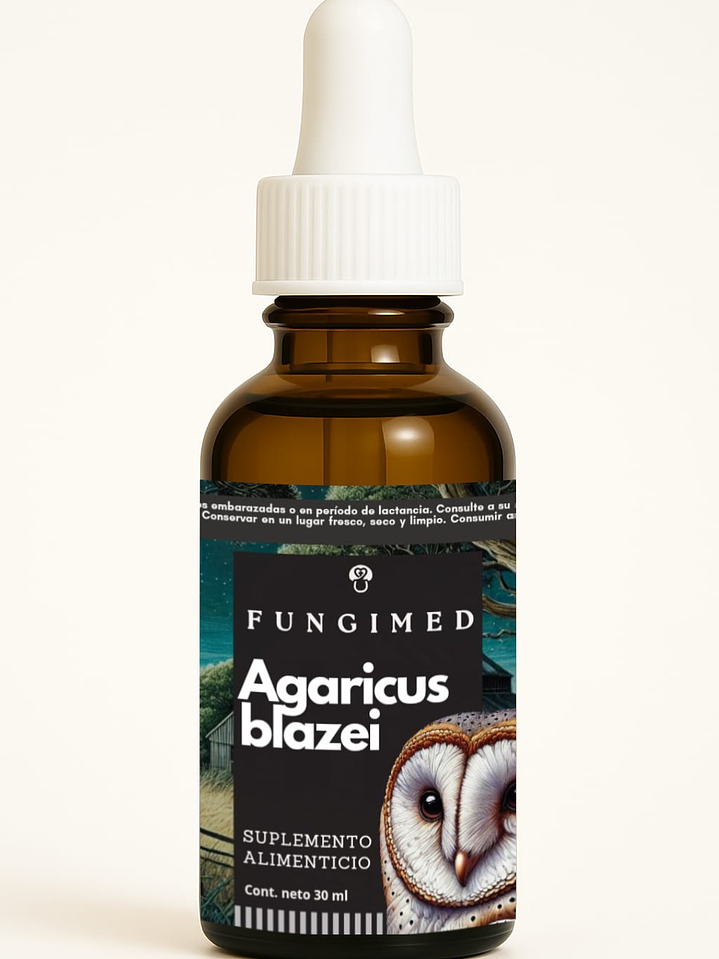 Agaricus blazei - Agaricus subrufescens 1