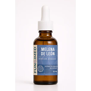 Melena de león - Hericium erinaceus