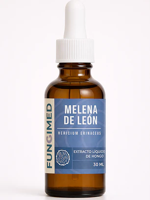 Melena de león - Hericium erinaceus