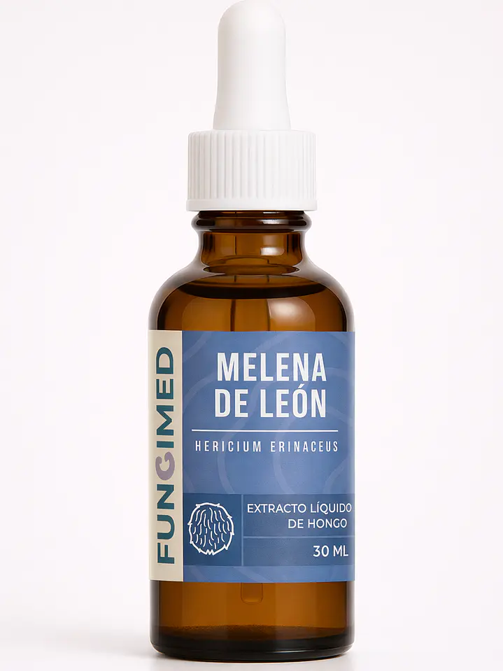 Melena de león - Hericium erinaceus 1