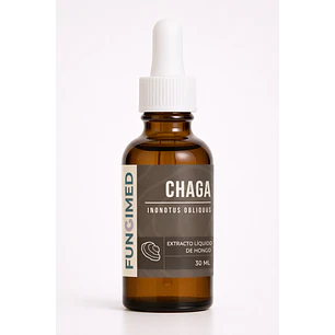 Chaga - Inonotus obliquus