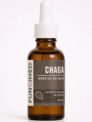 Chaga - Inonotus obliquus