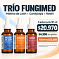 Trío Fungimed · Melena de León + Cordyceps + Reishi - Miniatura 2