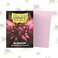 Blossom - Pastel Duals  (Standard) - Miniatura 1