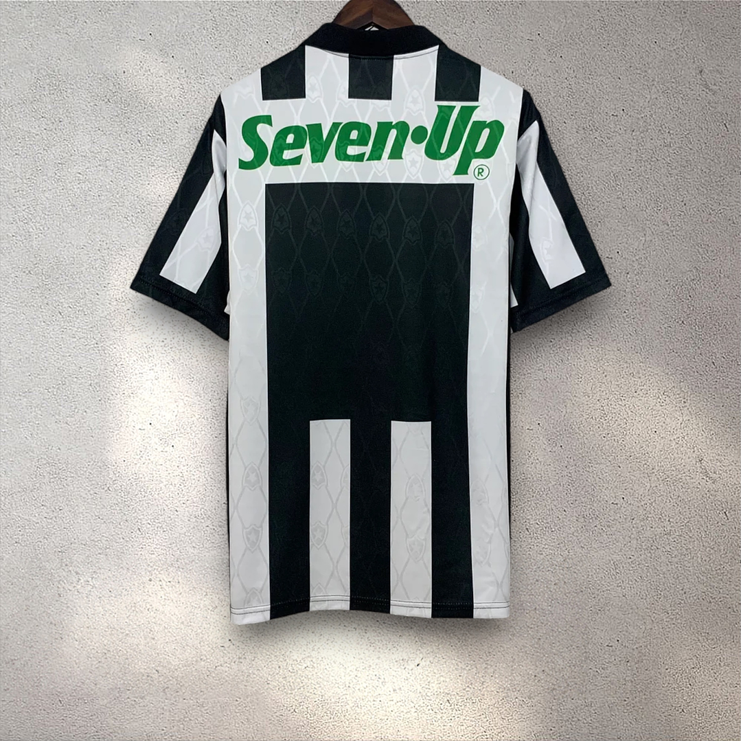 Botafogo Season 1995 2