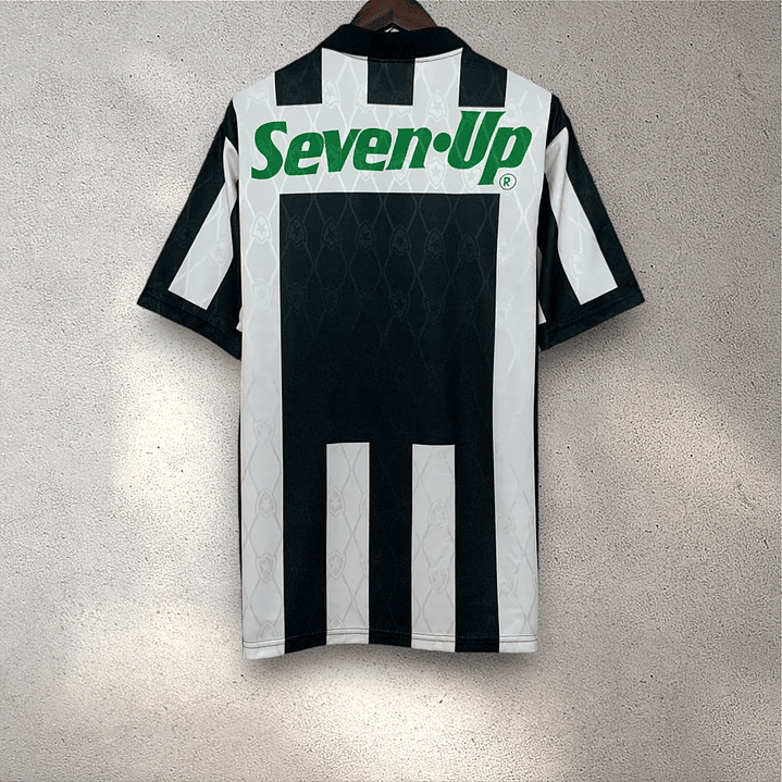 Botafogo Season 1995 2
