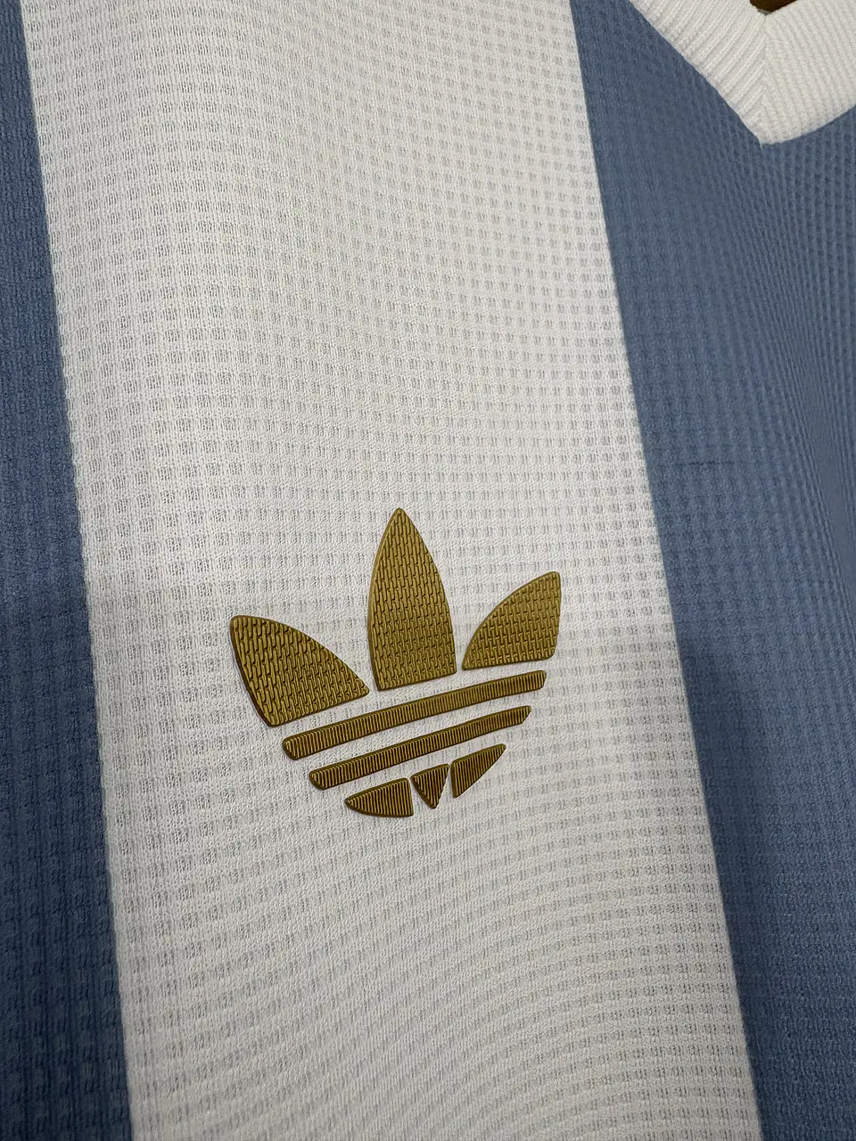 Camiseta Argentina 50 aniversario  5